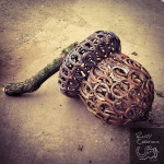 Acorn metal sculpture on concrete